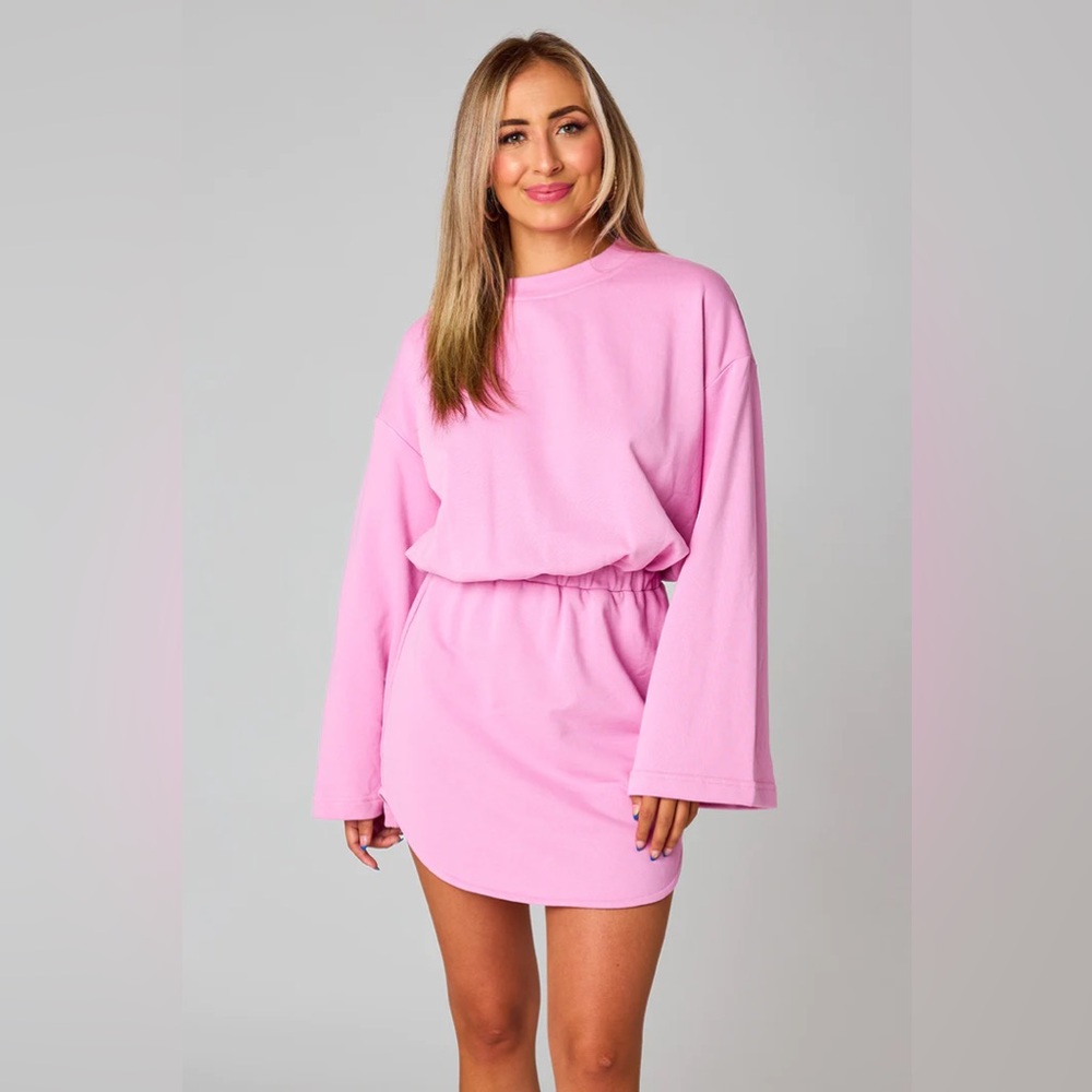 NWT BuddyLove Willa sweatshirt dress